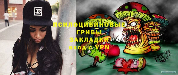 тгк Костерёво