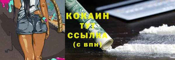 тгк Костерёво